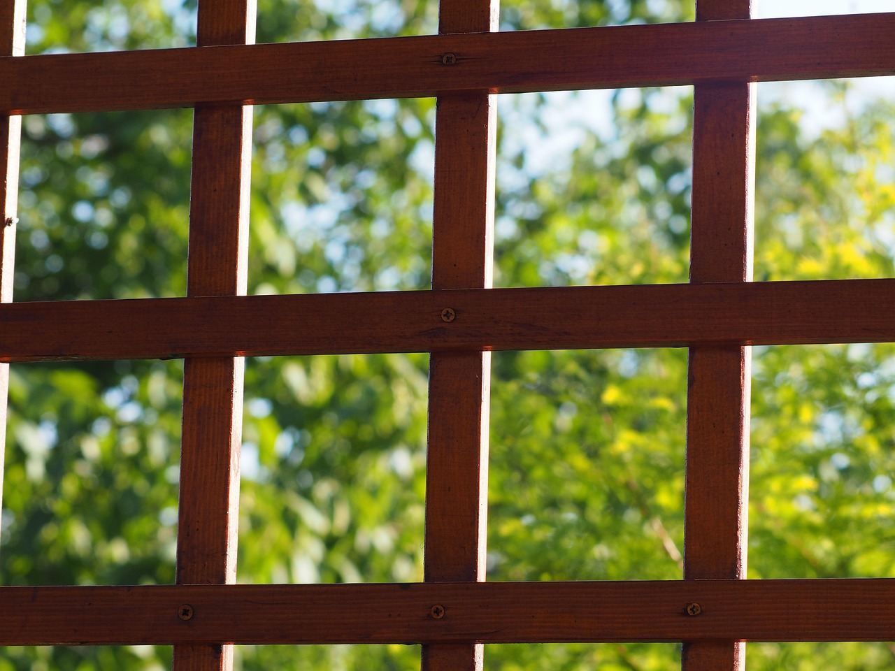 Pergola vs. Retractable Awning: Best Shade for Cary, IL Yards in 2026