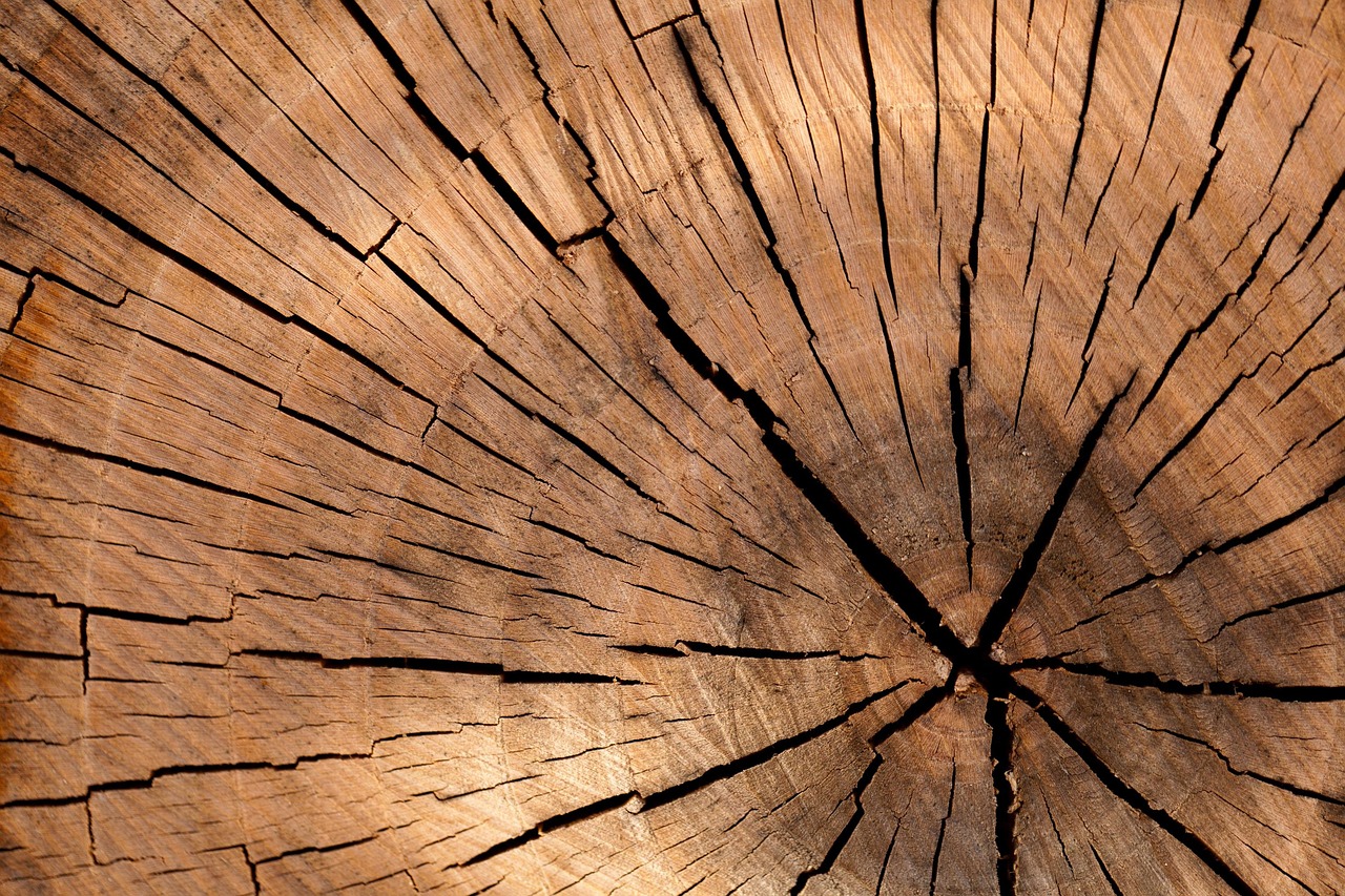 Blog by Burns Carpentry - Cary, IL