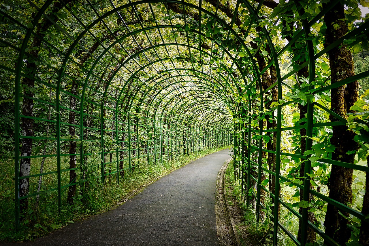 Pergola Placement: Sun & Wind Mapping for Cary, IL Yards (2026)