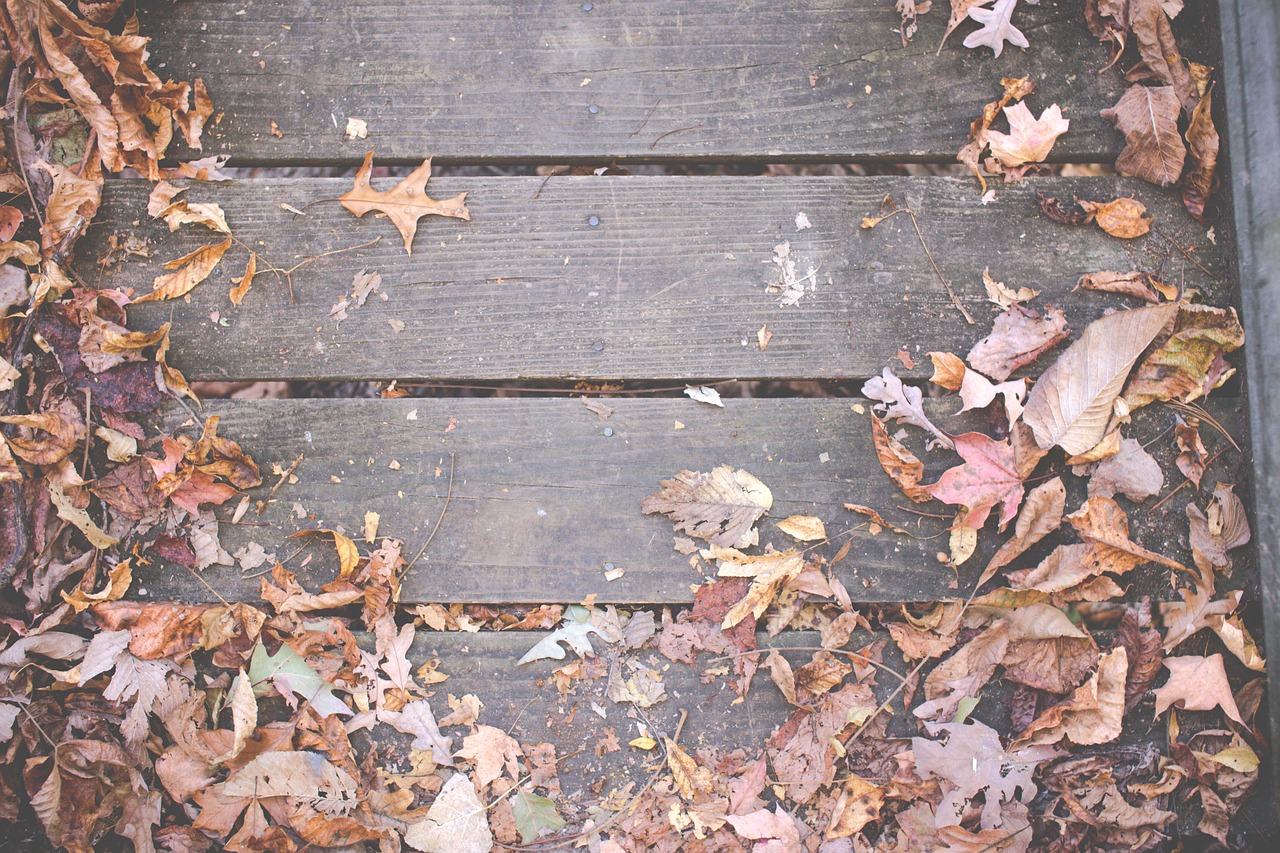 Deck Winterization: 5 Steps to Protect Your Wood Deck in Cary, IL